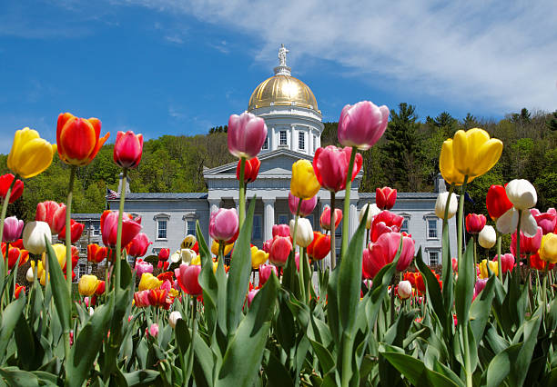 1,100+ Vermont Spring Stock Photos, Pictures & Royalty-Free Images - iStock  | Vermont spring hike, Vermont spring flowers, Vermont spring field