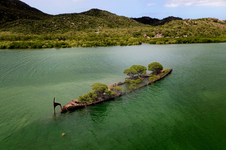 Shipwreck Overrun by Mangroves