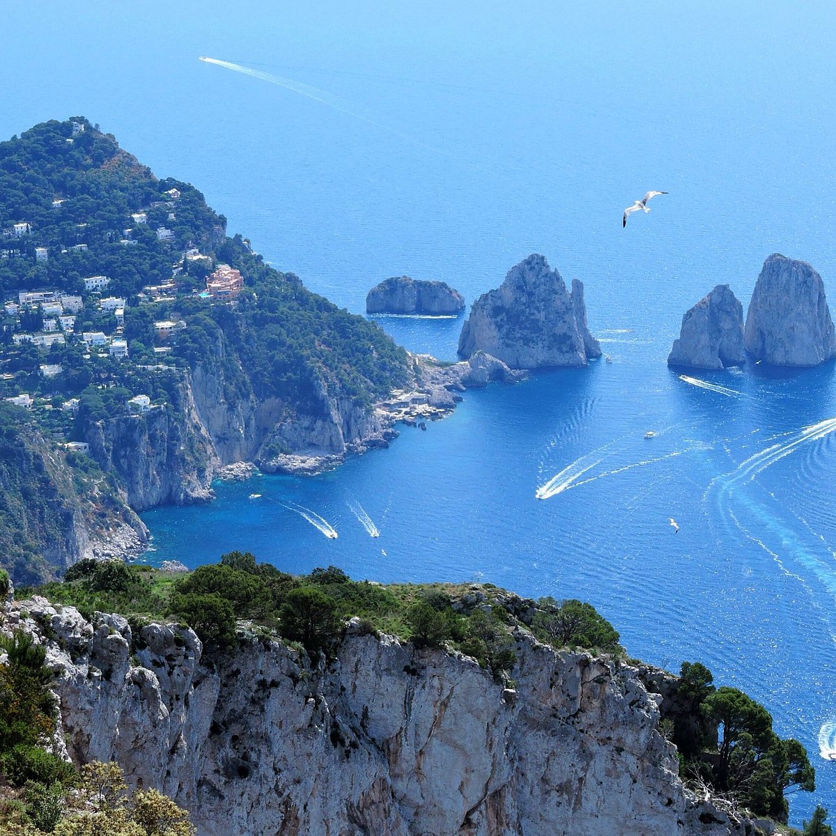 TOURS OF SORRENTO-CAPRI,AMALFI COAST & POMPEII - All You Need to Know  BEFORE You Go