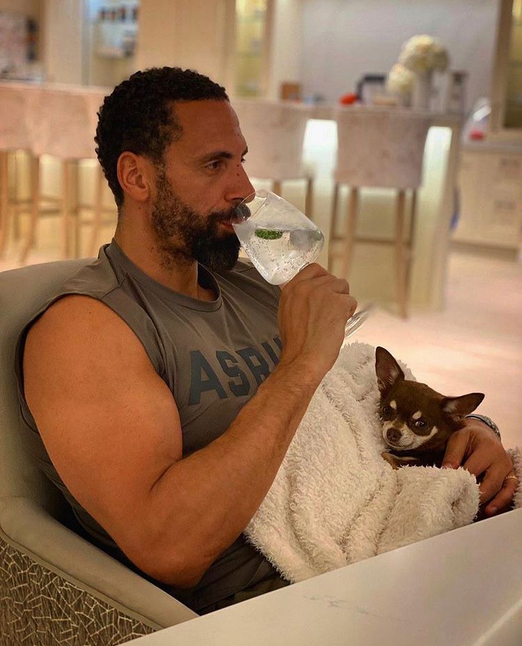 Footballers with animals on X: "Rio Ferdinand cuddling his dog https://t.co/rYrB9irr9G" / X