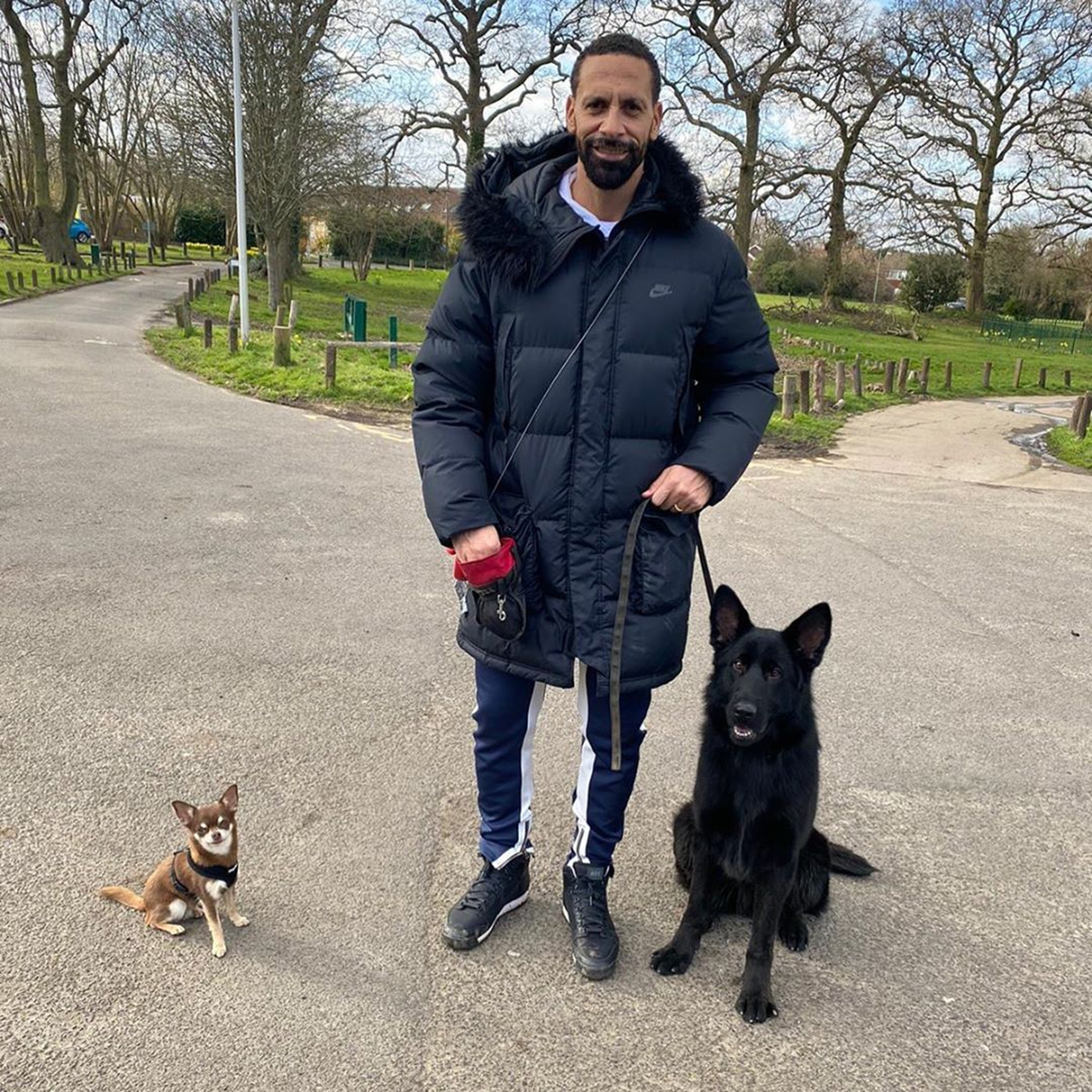  Rio Ferdinand is stepping up security at his London mansion with this fearsome guard dog (right)