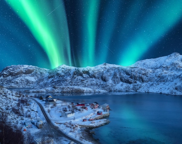 Premium Photo | Polar lights over the snowy mountains sea at night in  lofoten norway aerial view of aurora borealis rocks in snow winter  landscape with northern lights and fjord starry sky