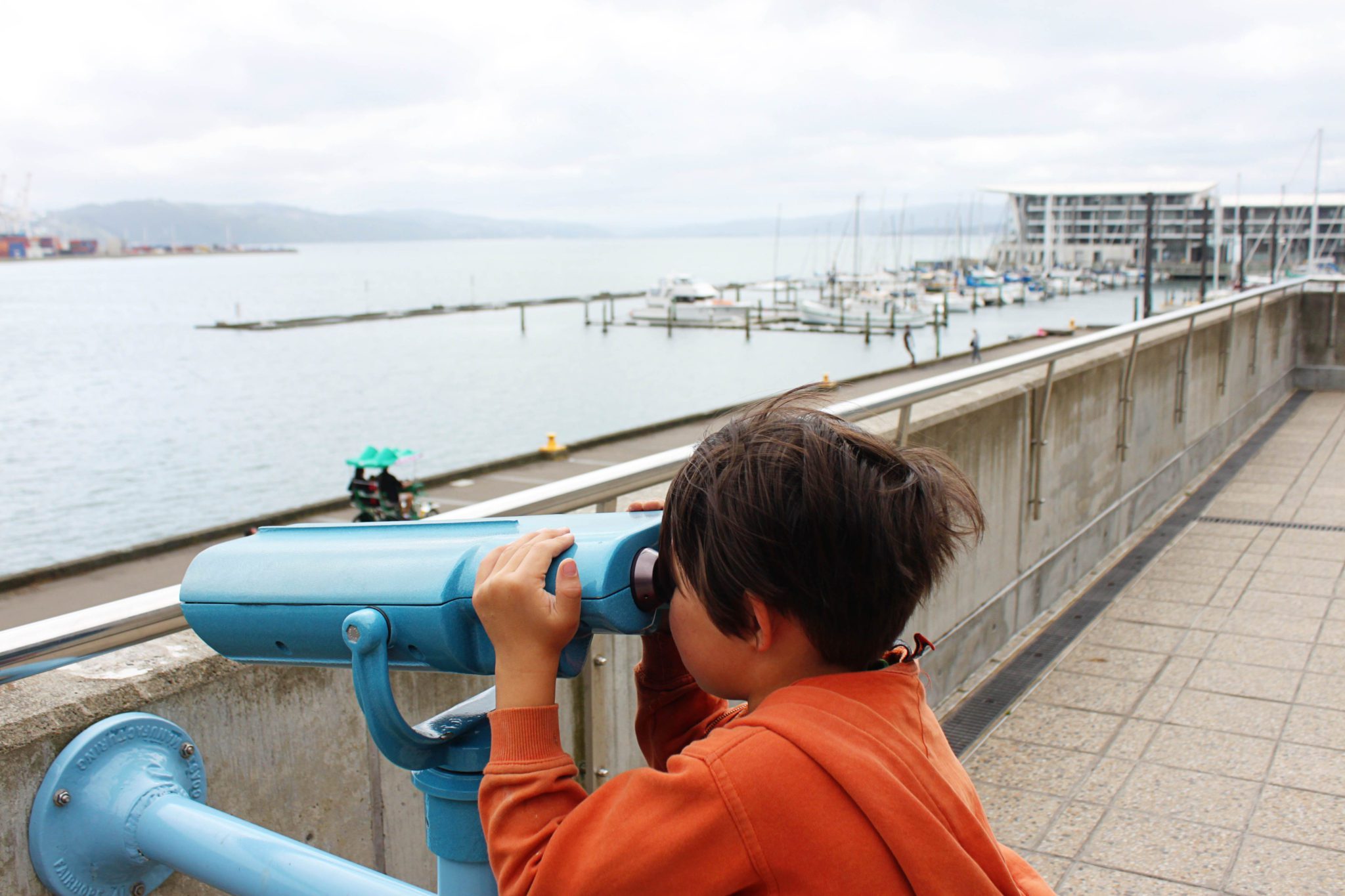 6 Fun things to do in Wellington New Zealand with kids | Te Papa Museum #wellington #newzeland #simplywander #tepapamuseum