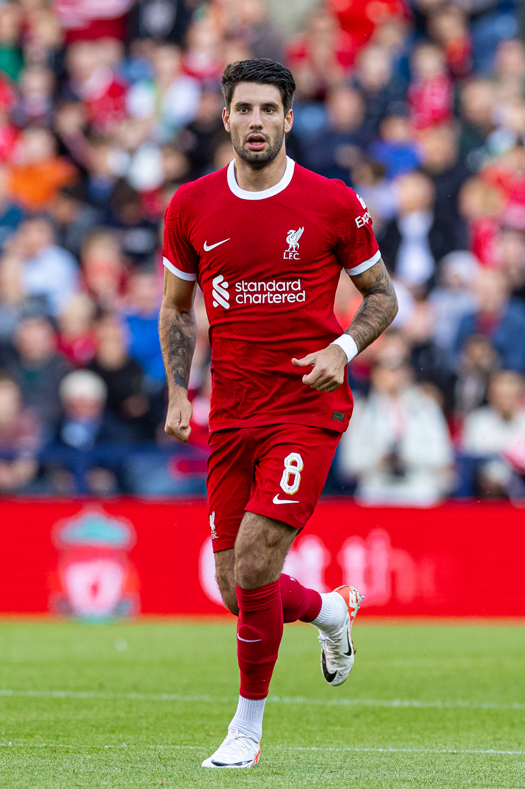 Anfield Watch on X: "Happy Birthday to Liverpool's new number Dominik Szoboszlai, who turns 23 today ️ What a player, what a man 🫡 https://t.co/mCQPNjT8nf" / X