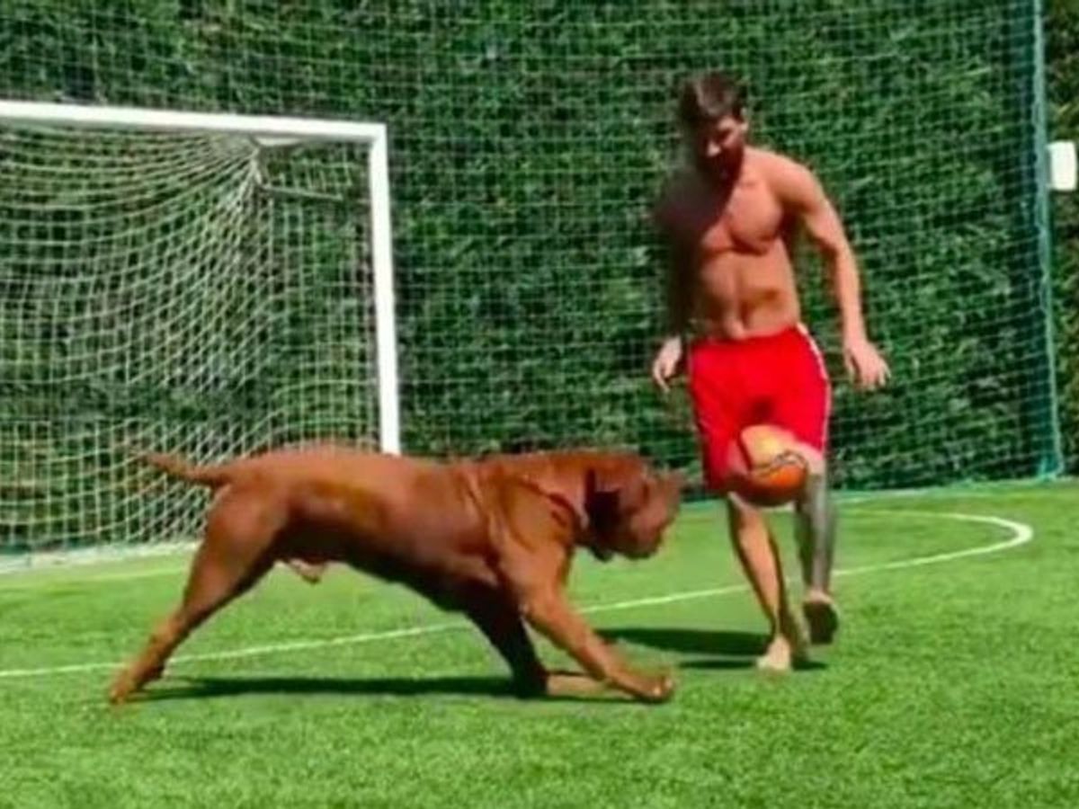 WATCH: Lionel Messi plays football with his dog Hulk, fans react to viral  video on social media | Football News