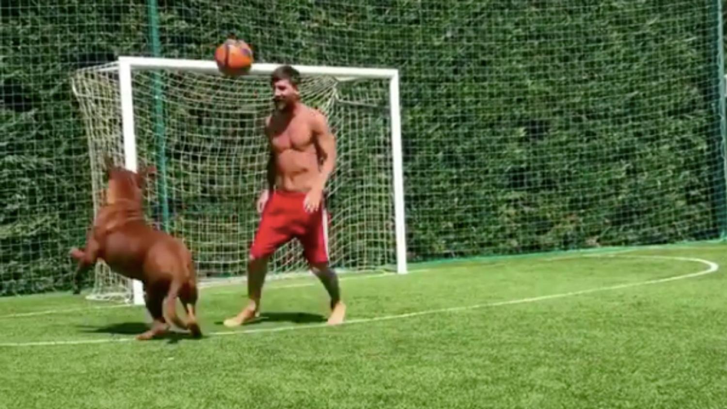 Lionel Messi Dog, A Giant Mastiff, Filmed Playing Soccer With Master