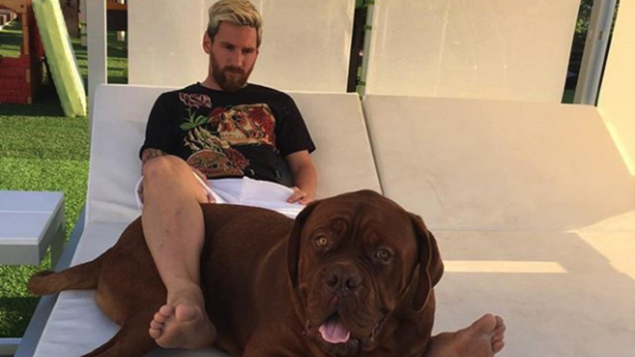 International Dog Day: Athletes with their favourite Furry Friends